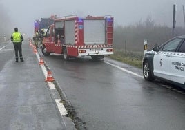 El choque mortal ha ocurrido en la EX-203, en el término municipal de Plasencia.