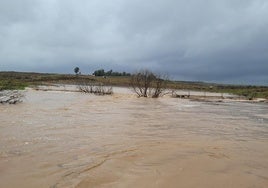 Inundaciones y crecidas por la borrasca Garoé en Extremadura