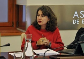 La portavoz de Unidas por Extremadura, Irene de Miguel.