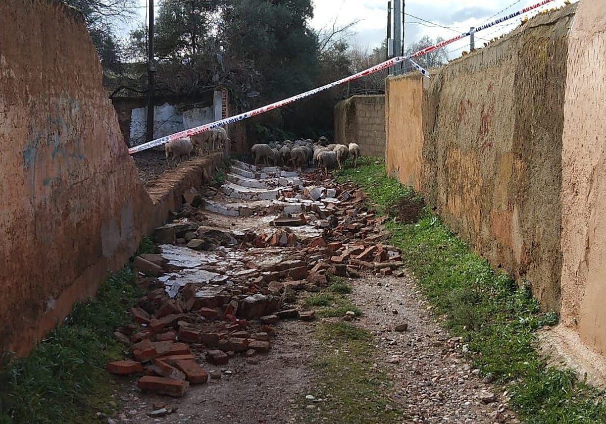 Muro derribado en un camino en las inmediaciones de Fuente Fría.