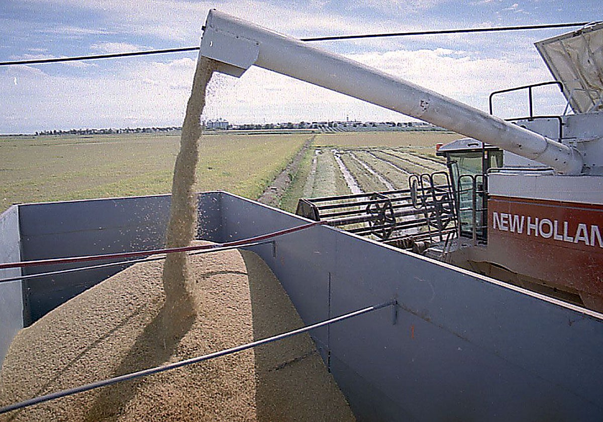 Cosechadora de arroz tras recolectar una parcela en el término municipal de Don Benito.