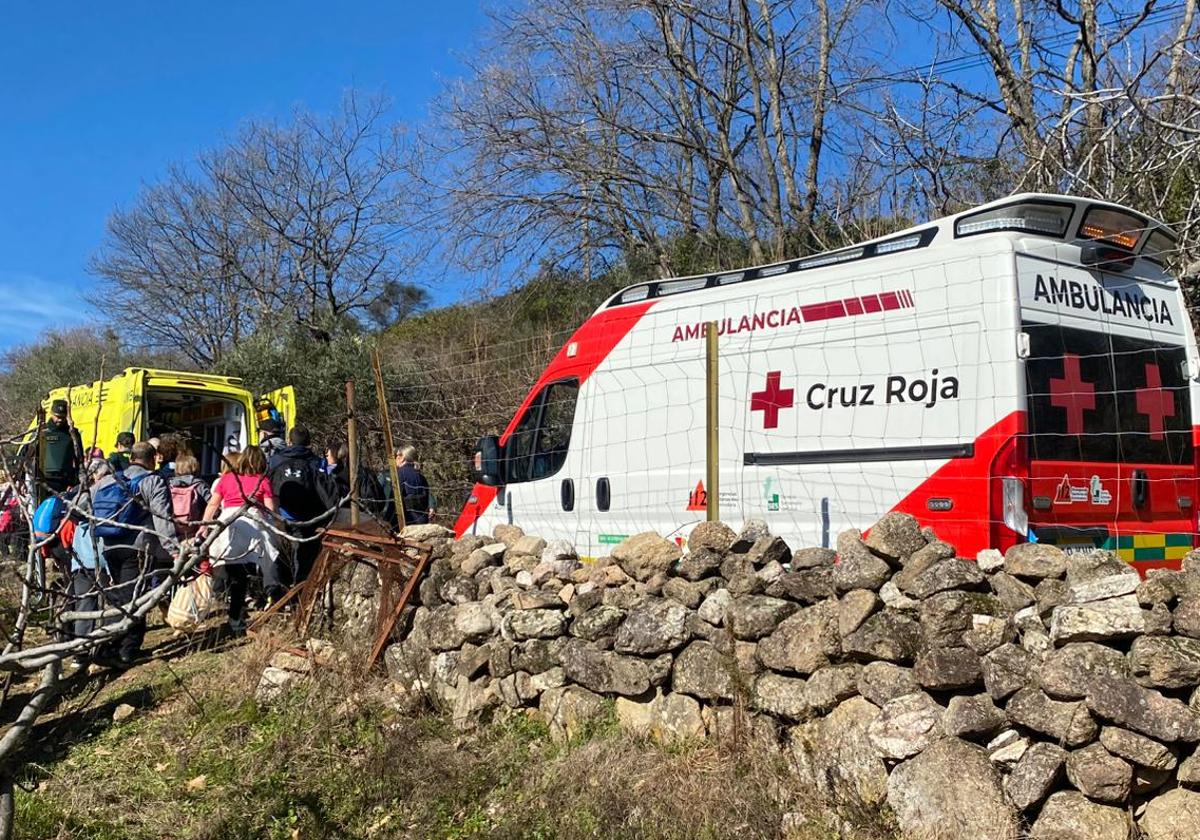 Equipos de emergencia en el lugar del suceso.