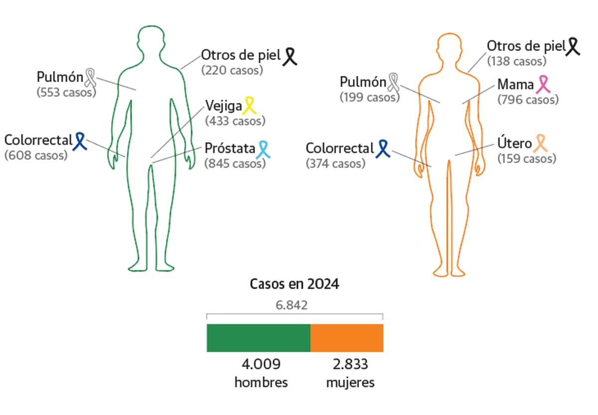 Extremadura diagnostica casi 7.000 cánceres al año y la enfermedad seguirá al alza