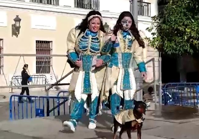 Un perro disfrazado, en el concurso de mascotas del año pasado.