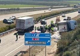 El camión se salió de la vía a un kilómetro de la salida de expaciomérida en la A-66