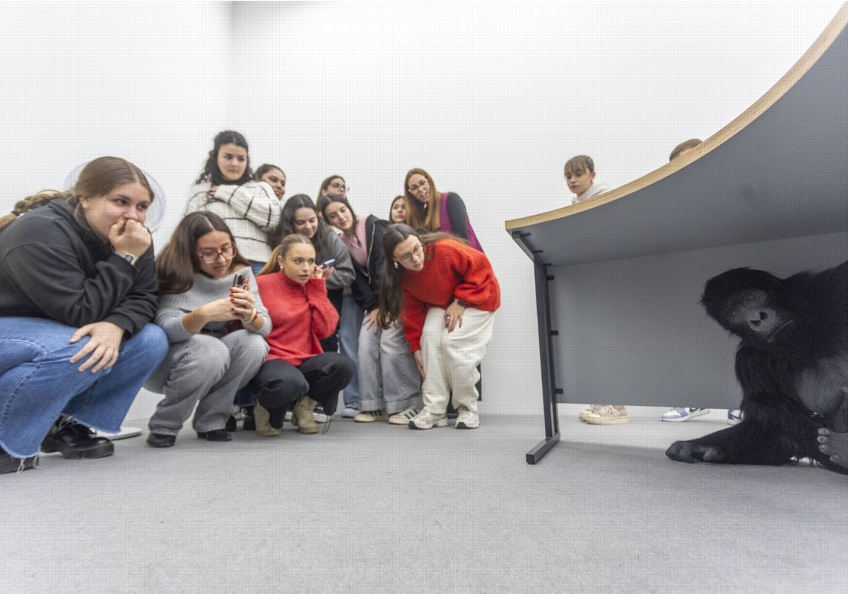 El Museo Helga de Alvear prepara un homenaje póstumo a la galerista