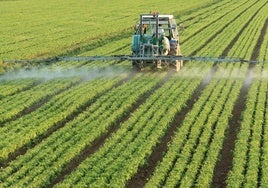 Estudian la explotación de frutales subtropicales en épocas de sequía