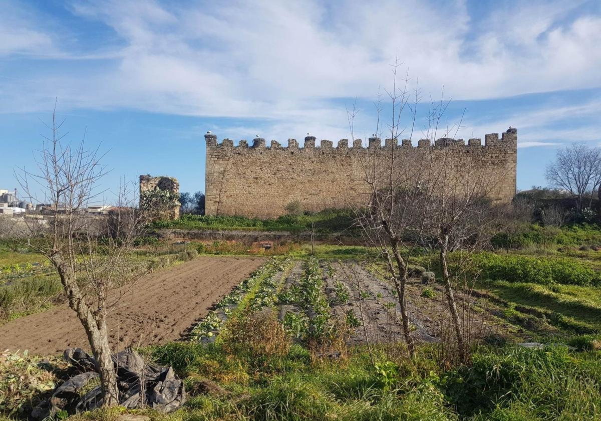 Castillo de los Herrera en Arroyo de la Luz.