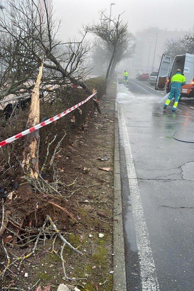 Los operarios limpian la zona en la que se produjo el accidente, que ha sido acordonada.