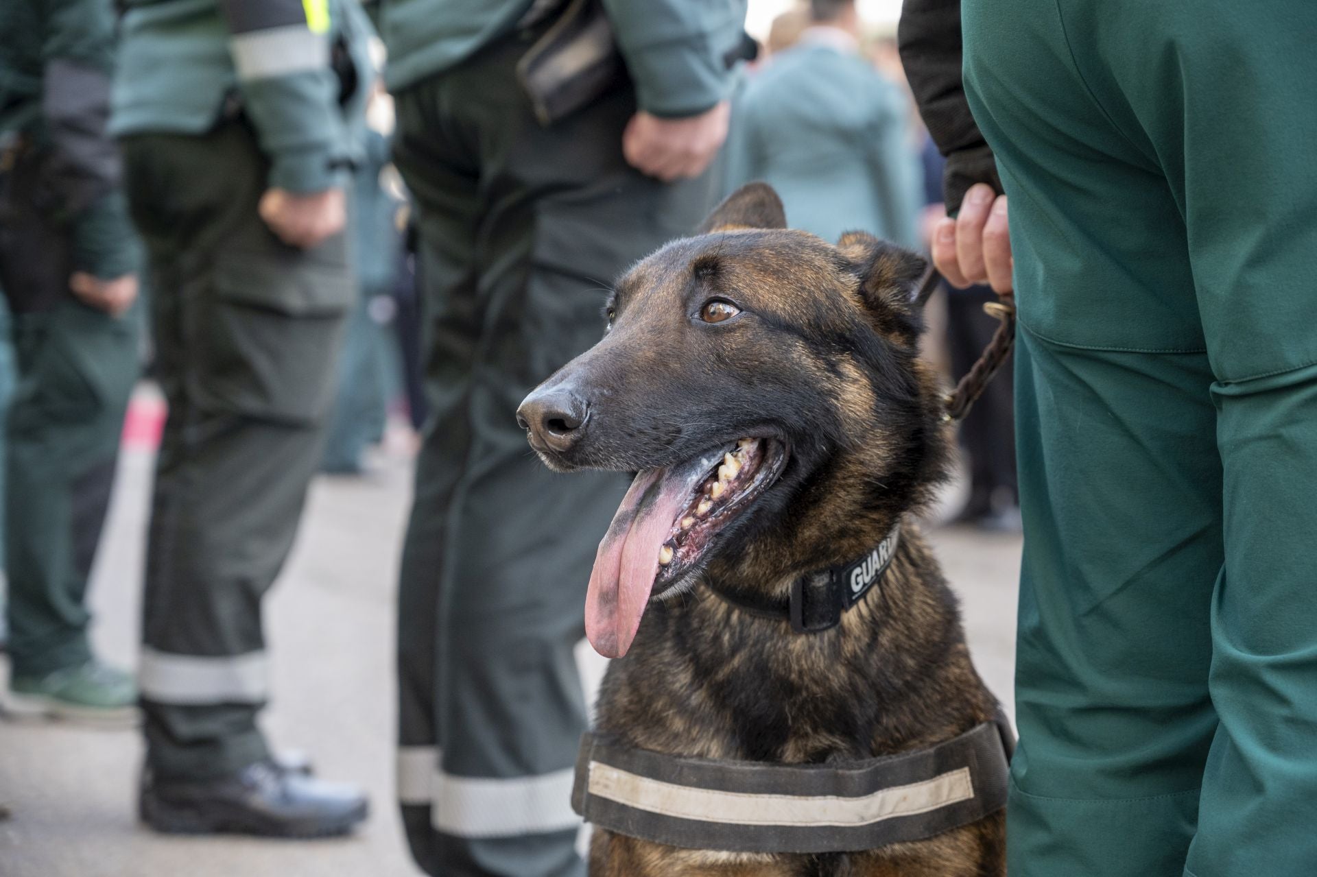 Toma de posesión de José Manuel Santiago Marín al frente de la Guardia Civil en Extremadura