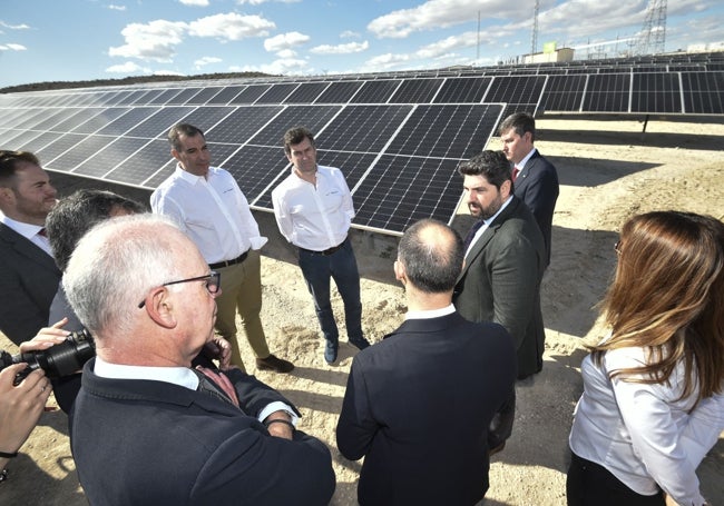 Planta fotovoltaica de 50 megavatios inaugurada la semana pasada en Murcia.