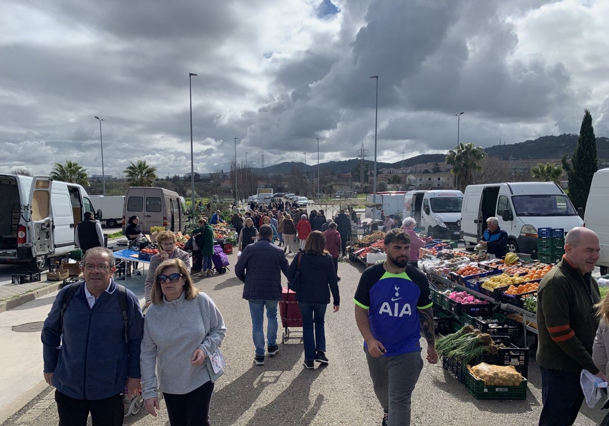 Mercadillo de Cáceres en una imagen tomada este miércoles.