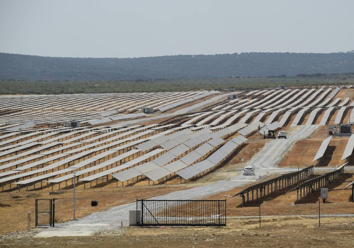 Planta fotovoltaica Francisco Pizarro, la mayor de Europa, entre Aldeacentenera y Torrecillas de la Tiesa.