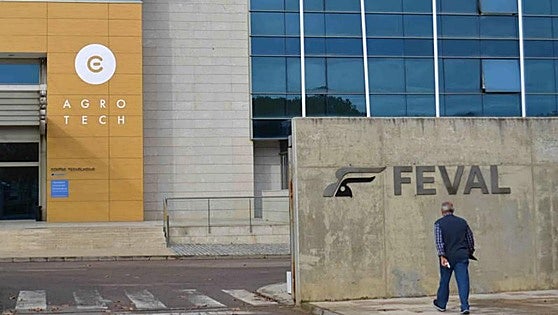 La Institución Ferial de Extremadura busca técnicos informáticos