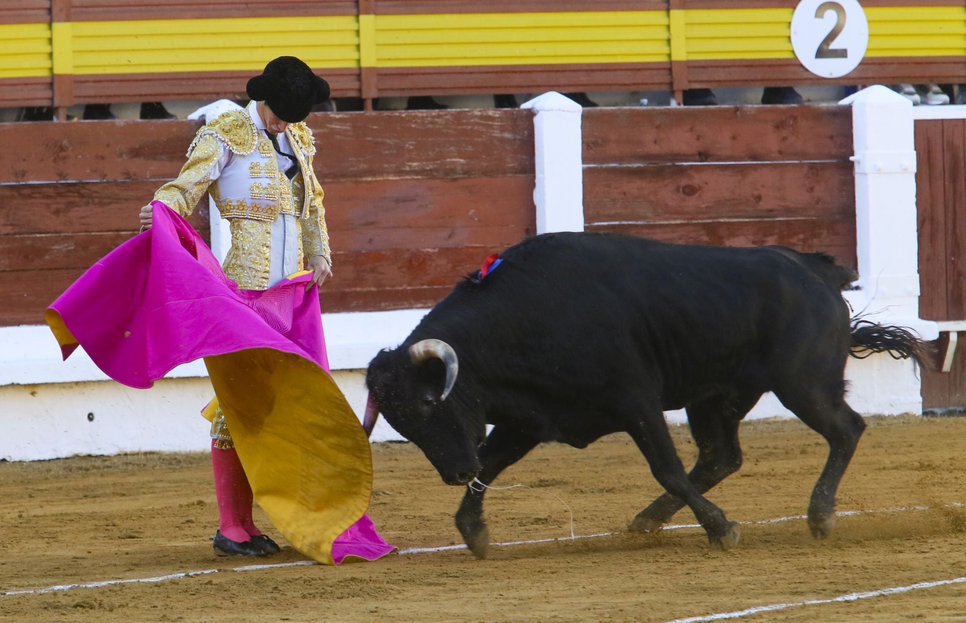 La novillada de Mérida, en imágenes