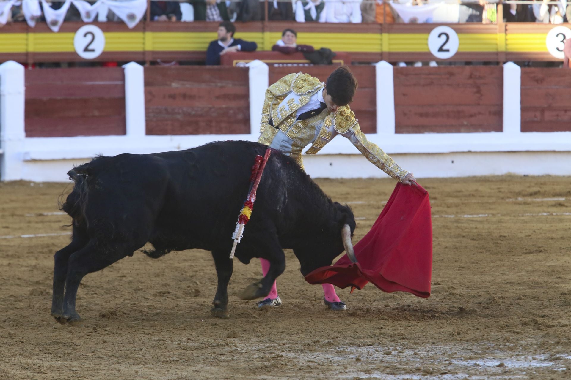 La novillada de Mérida, en imágenes