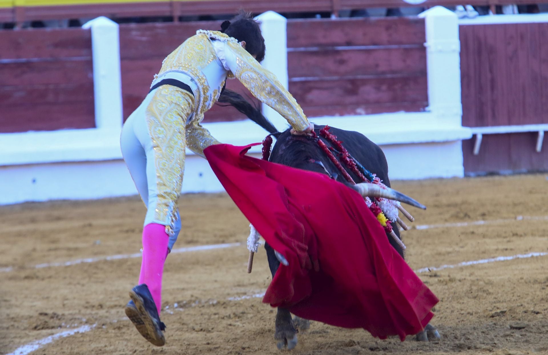 La novillada de Mérida, en imágenes