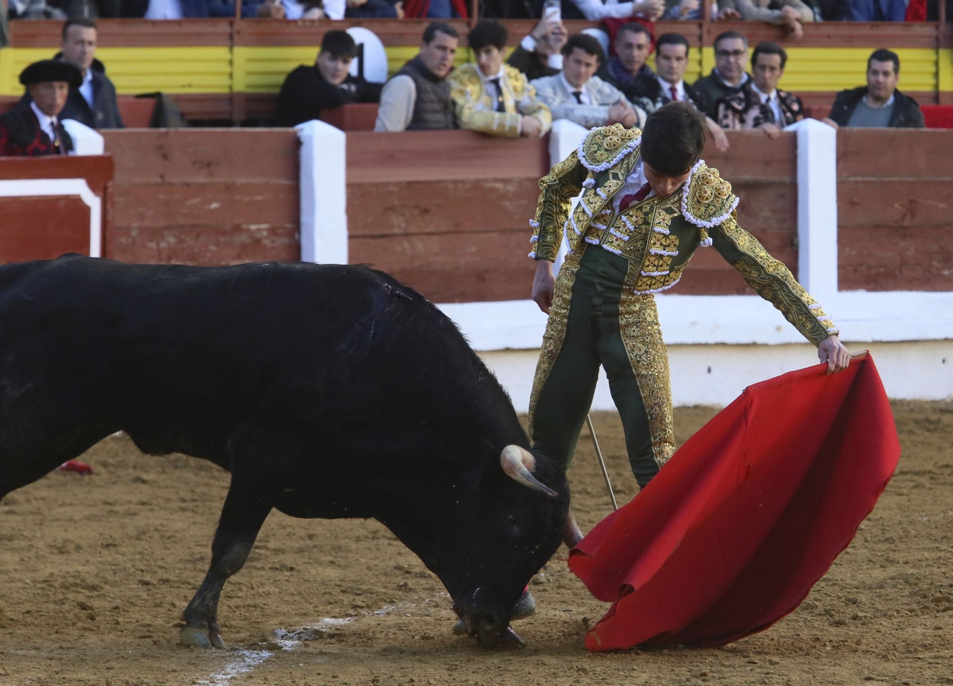 La novillada de Mérida, en imágenes