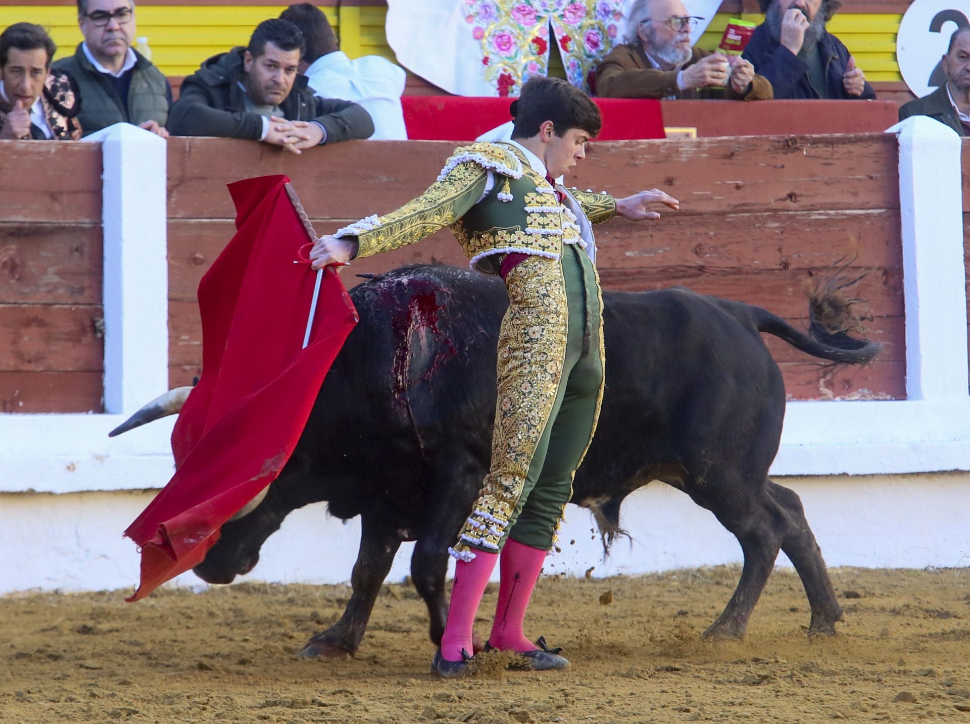 La novillada de Mérida, en imágenes