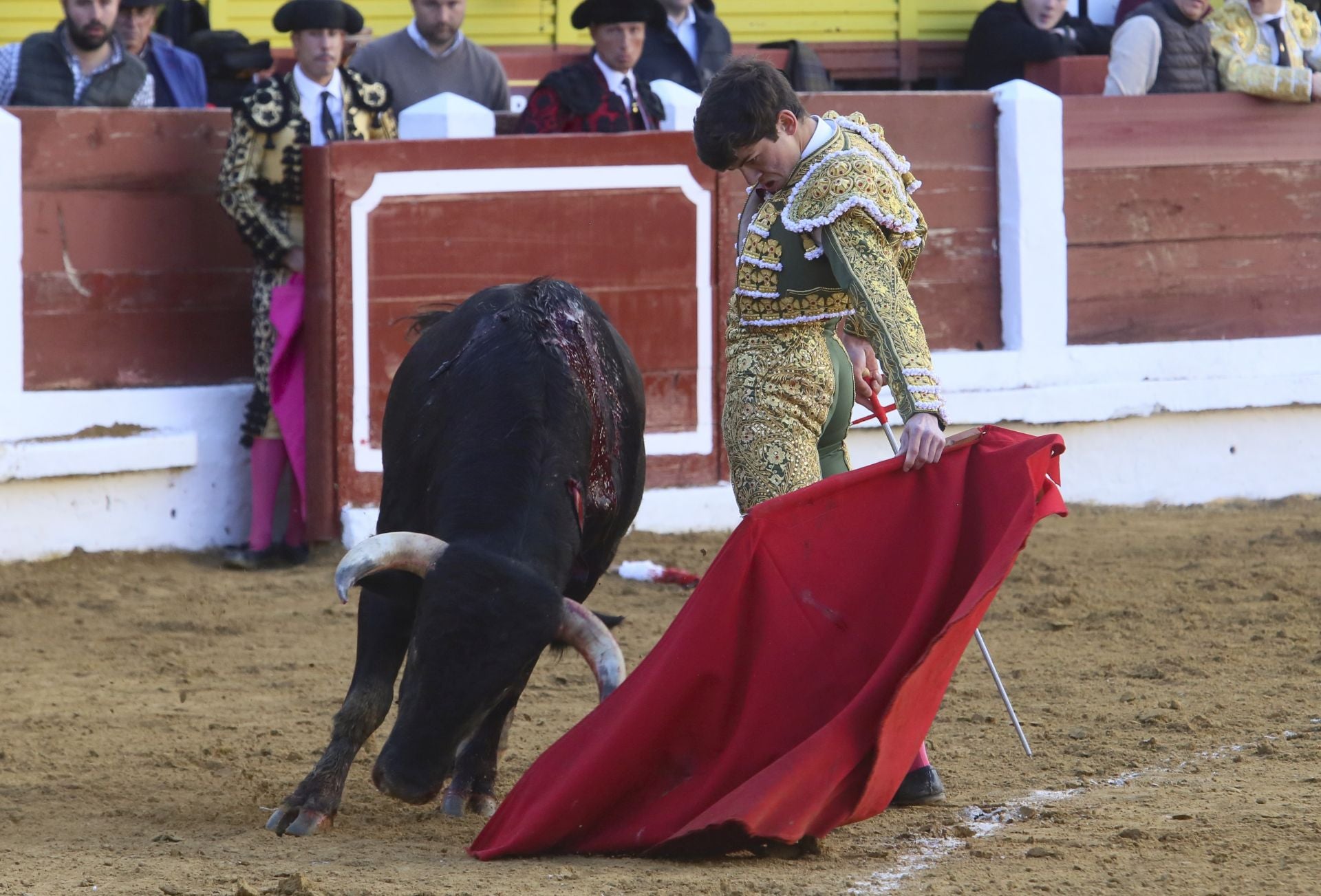 La novillada de Mérida, en imágenes