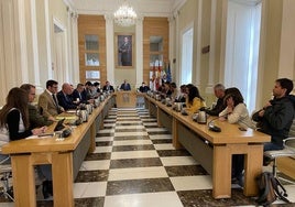 Pleno municipal de este jueves.