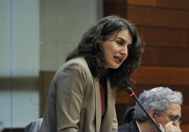 Irene de Miguel, portavoz de Unidas por Extremadura en la Asamblea.