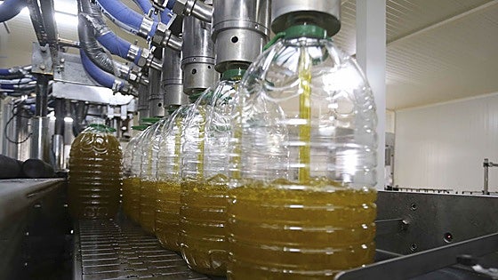 El aceite y el hierro impulsaron en 2024 a la región en los mercados internacionales