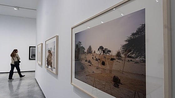El Helga de Alvear incorpora 22 nuevas obras a su exposición permanente