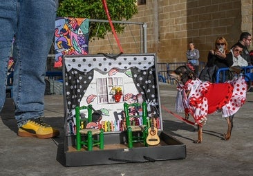 Suca, la perra flamenca en un tablao, gana el concurso de disfraces de mascotas de Badajoz