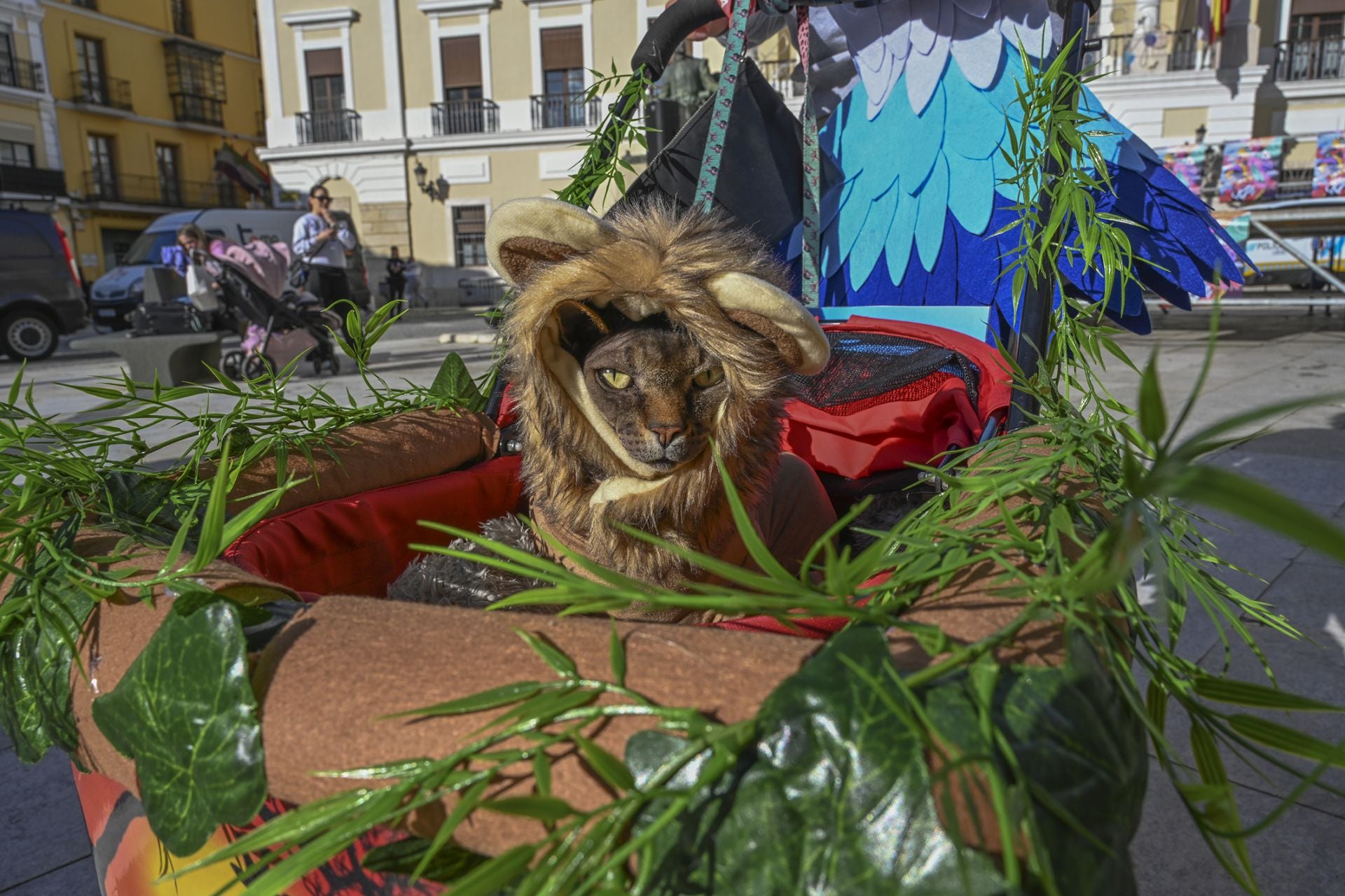 Concurso de disfraces de mascotas del Carnaval de Badajoz 2025