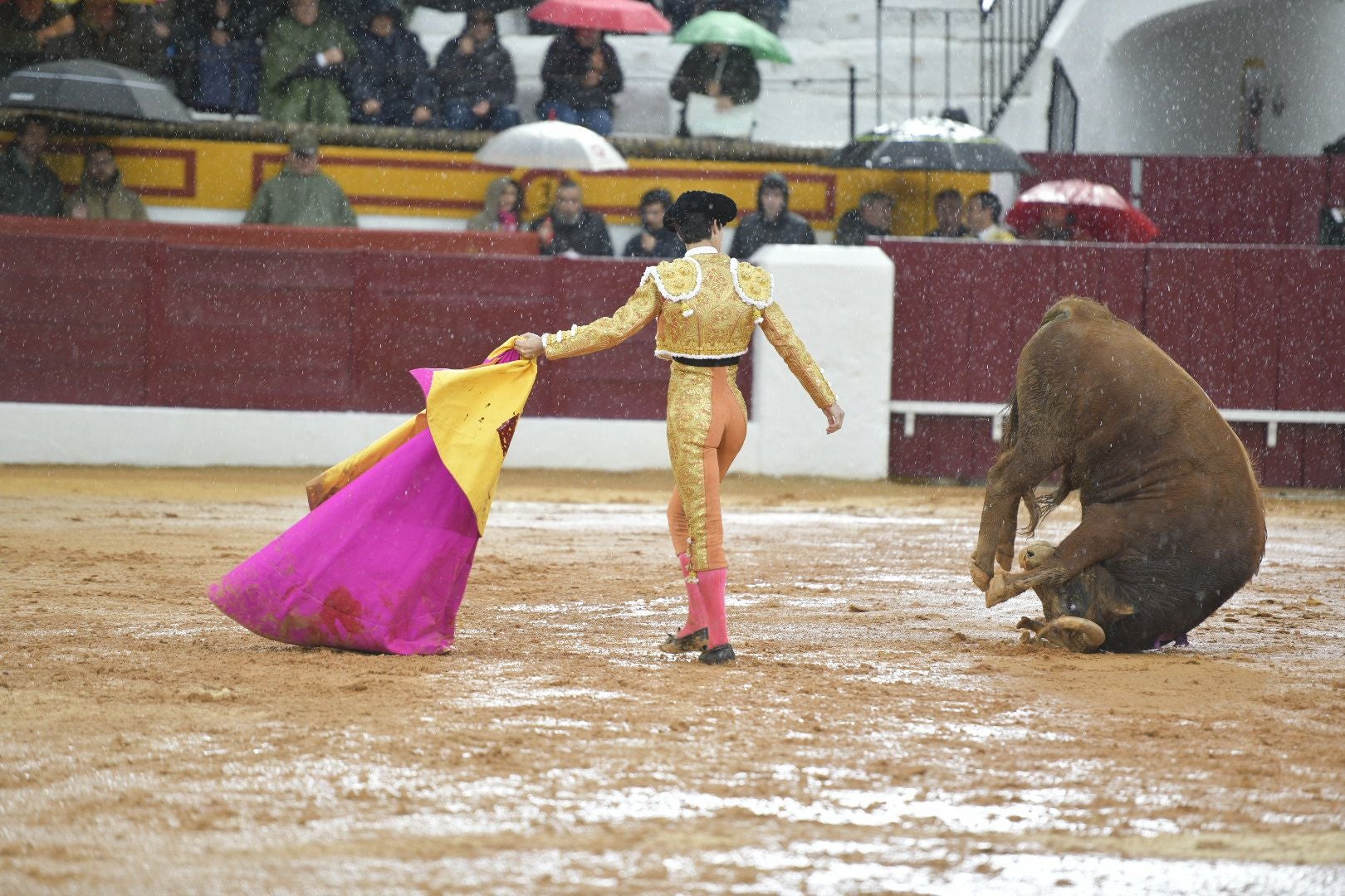 La novillada que abrió la feria de Olivenza, en imágenes