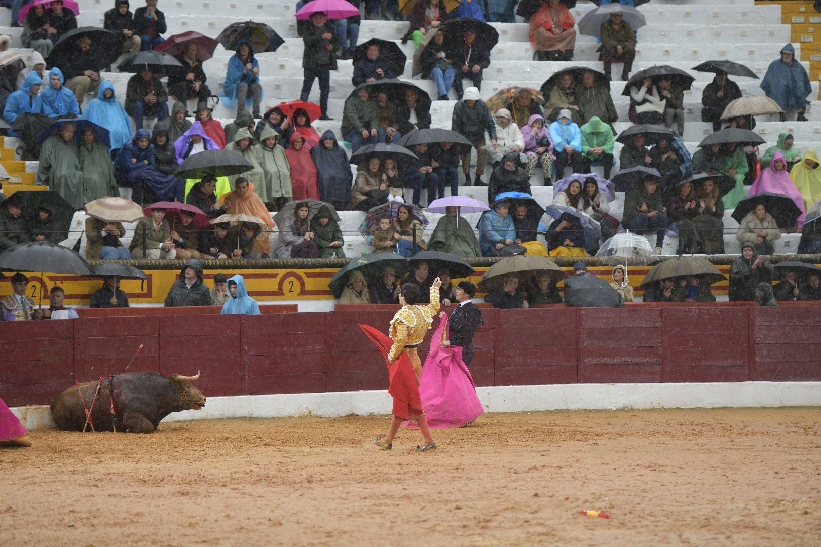 La novillada que abrió la feria de Olivenza, en imágenes