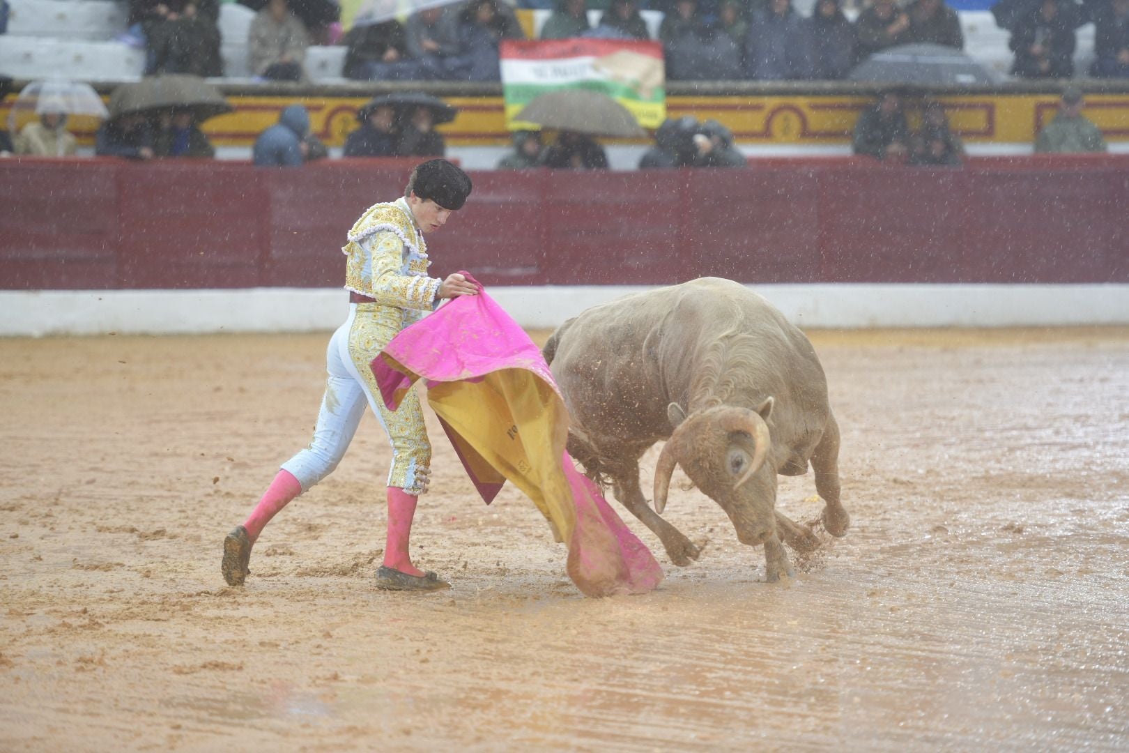 La novillada que abrió la feria de Olivenza, en imágenes