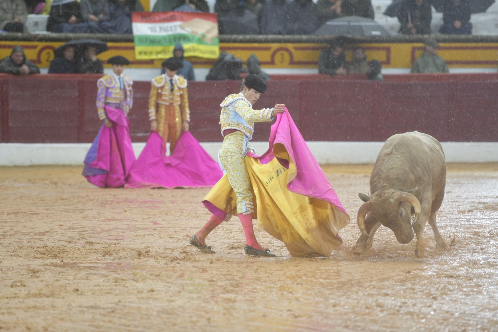 La novillada que abrió la feria de Olivenza, en imágenes