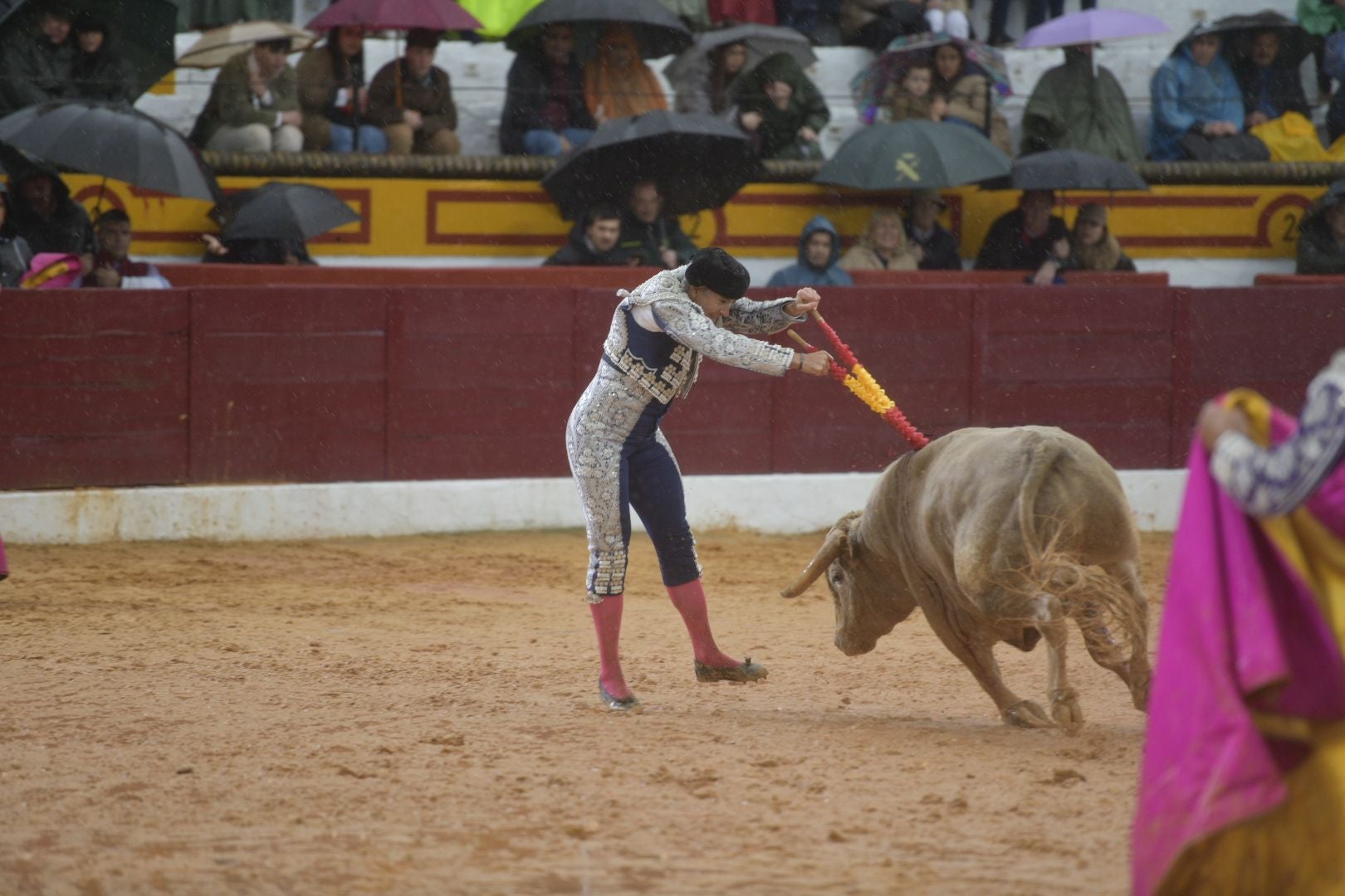 La novillada que abrió la feria de Olivenza, en imágenes