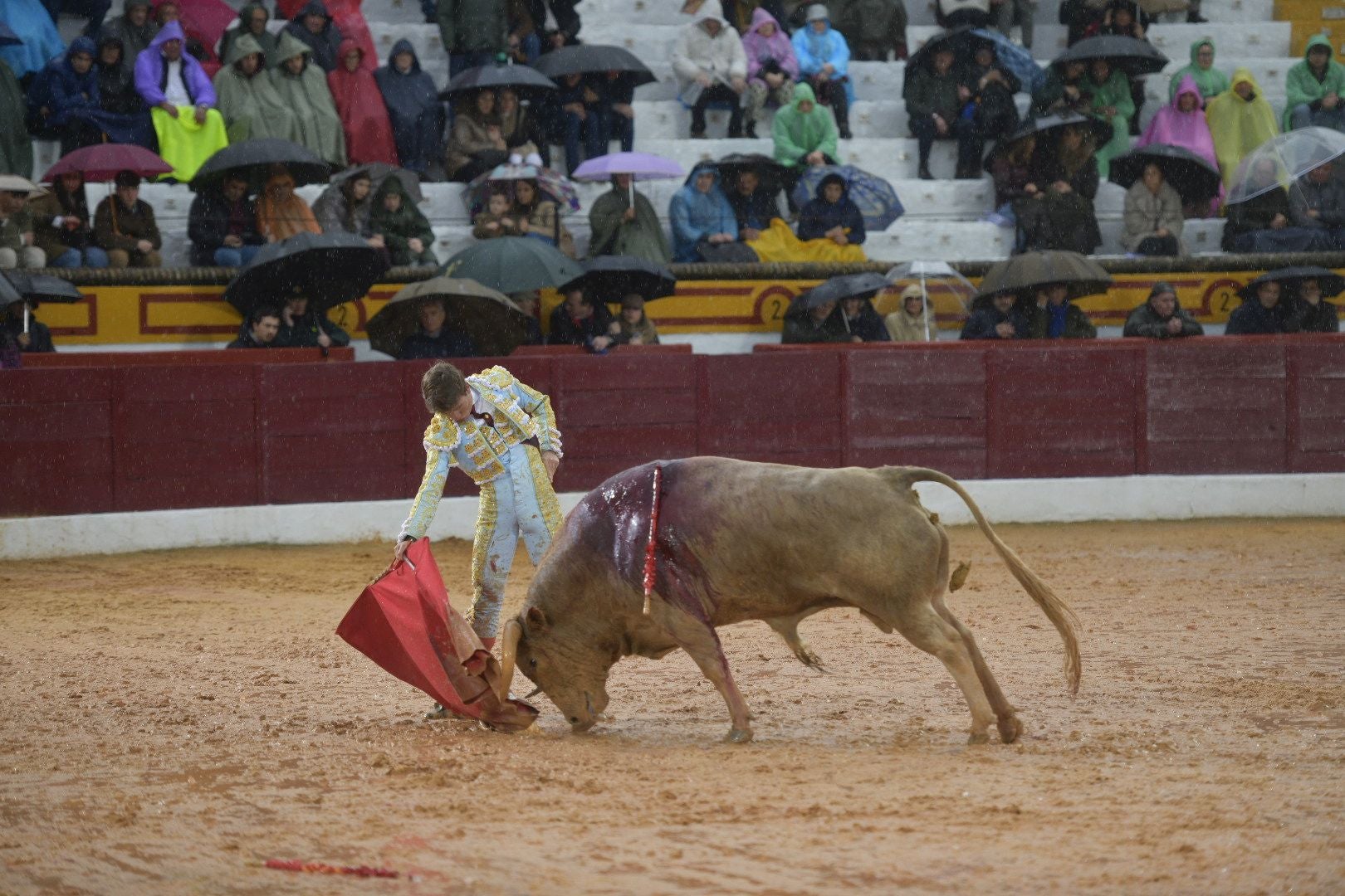 La novillada que abrió la feria de Olivenza, en imágenes