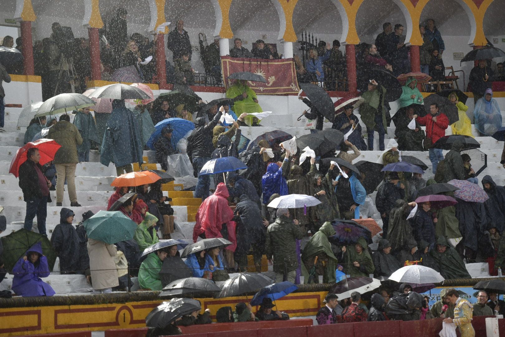 La novillada que abrió la feria de Olivenza, en imágenes