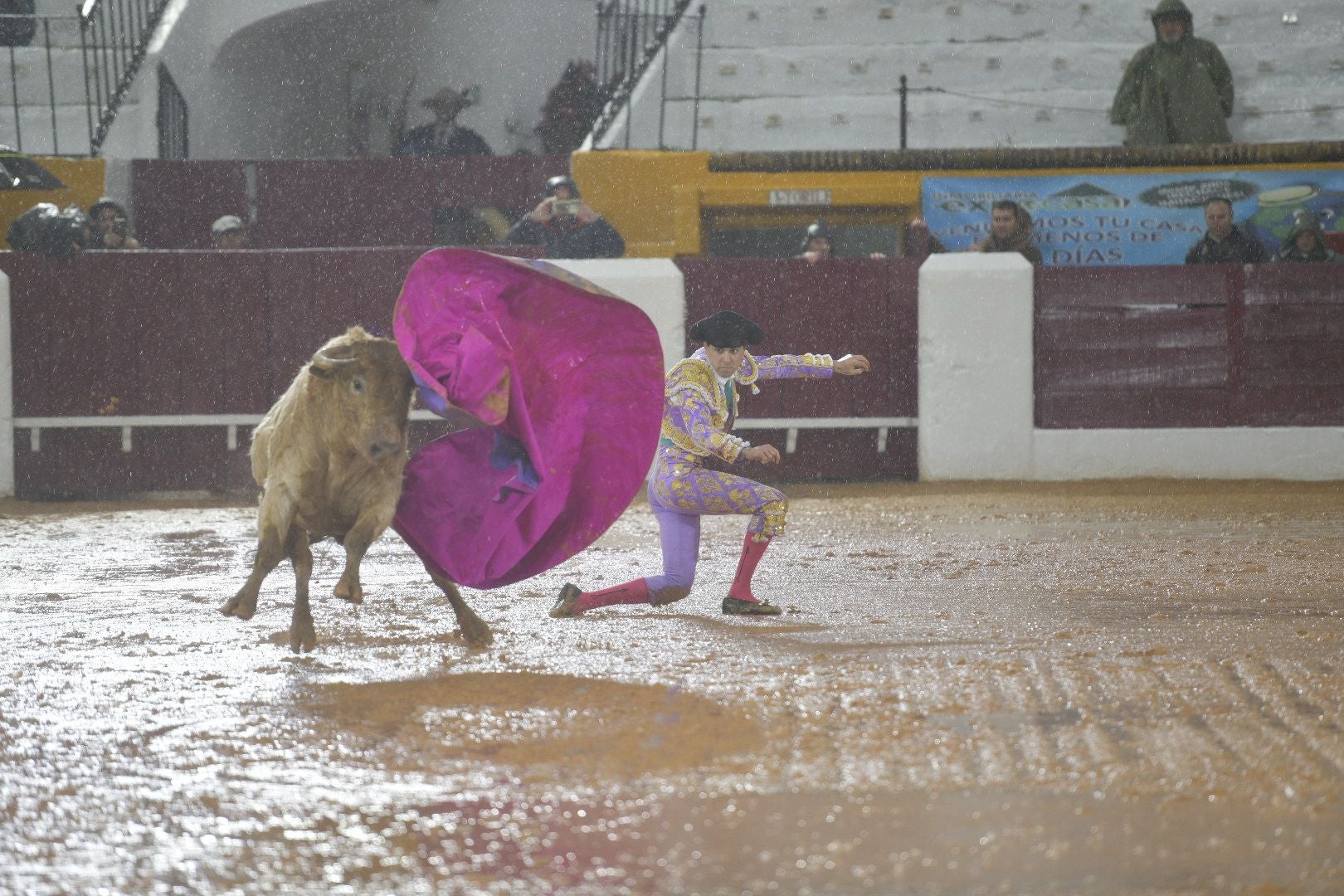 La novillada que abrió la feria de Olivenza, en imágenes