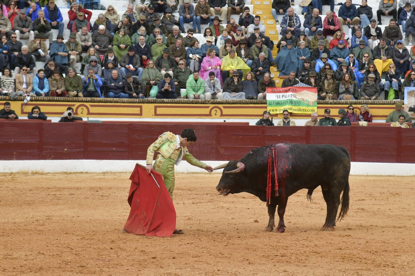 La novillada dominical de Olivenza, en imágenes