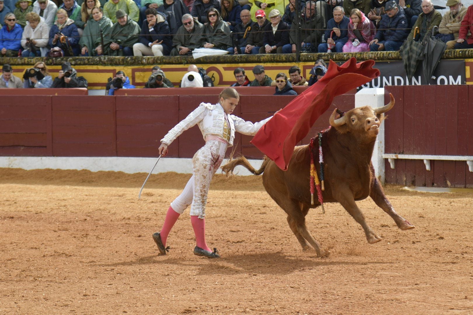 La novillada dominical de Olivenza, en imágenes