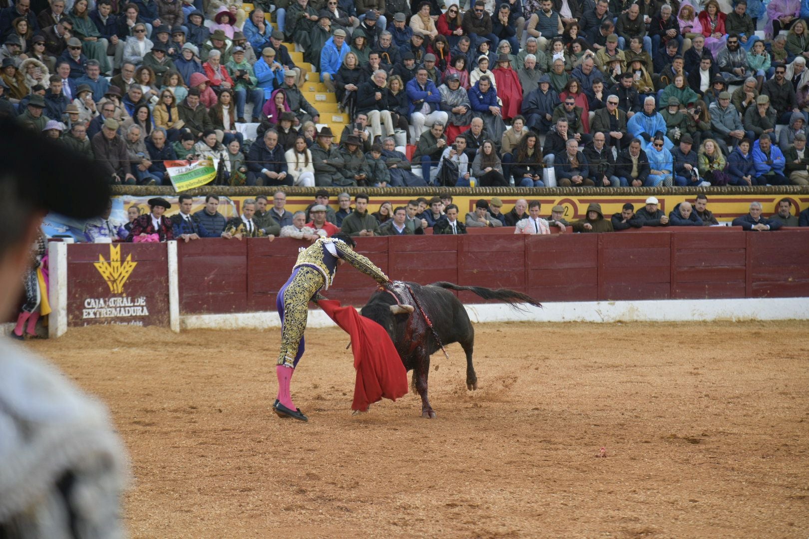 La corrida de Talavante, Manzanares y Juan Ortega, en imágenes