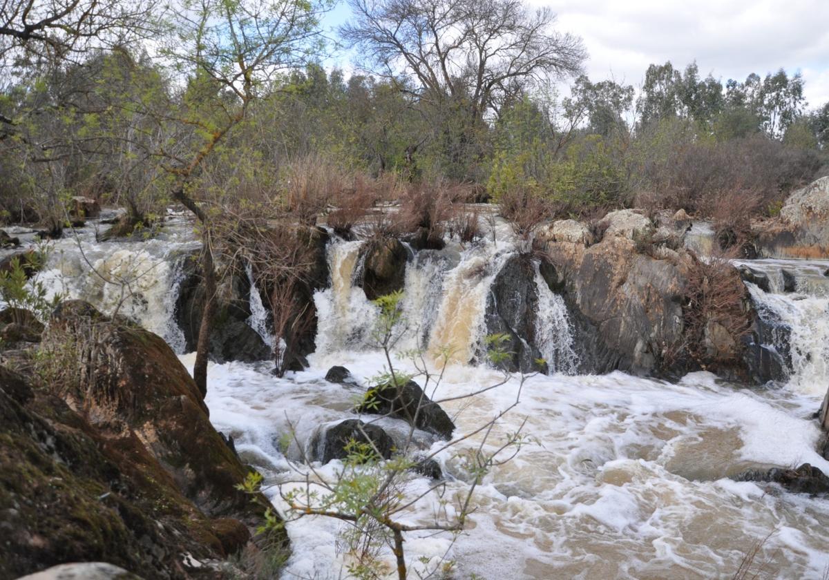 Imagen de archivo del río Guadámez, en el término municipal de Don Benito.