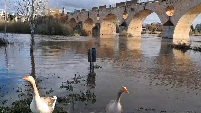 El río Guadiana sube su caudal a su paso por Badajoz.