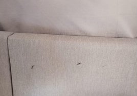 Marcas de cuchilladas en el sofá del piso tutelado.