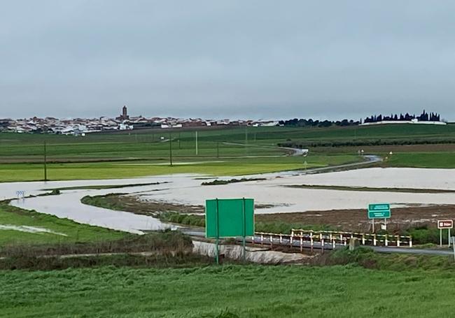 Carretera cortada por el agua en la Campiña Sur.