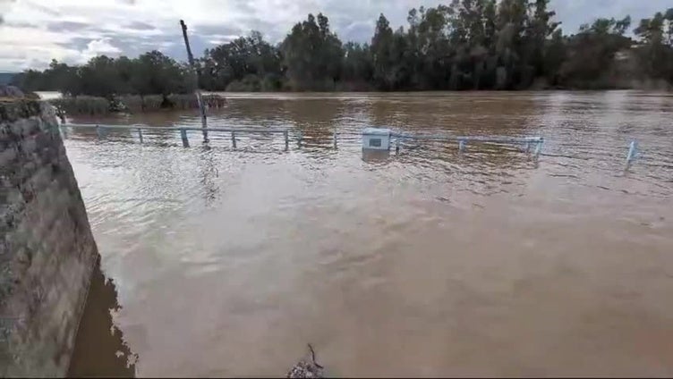Así se ve la crecida del Guadiana en Medellín