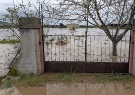 Caminos inundados y casas aisladas en Medellín por la crecida del río Ortiga