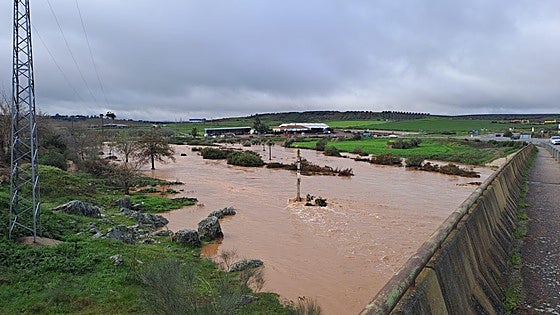 Fotos | Efectos de las crecidas de arroyos y ríos en Extremadura