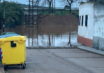 El río Palomillas se queda a unos metros de inundar algunas viviendas en Palomas