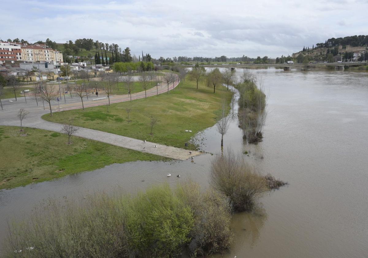 Crecida del río Guadiana en Badajoz, este miércoles.